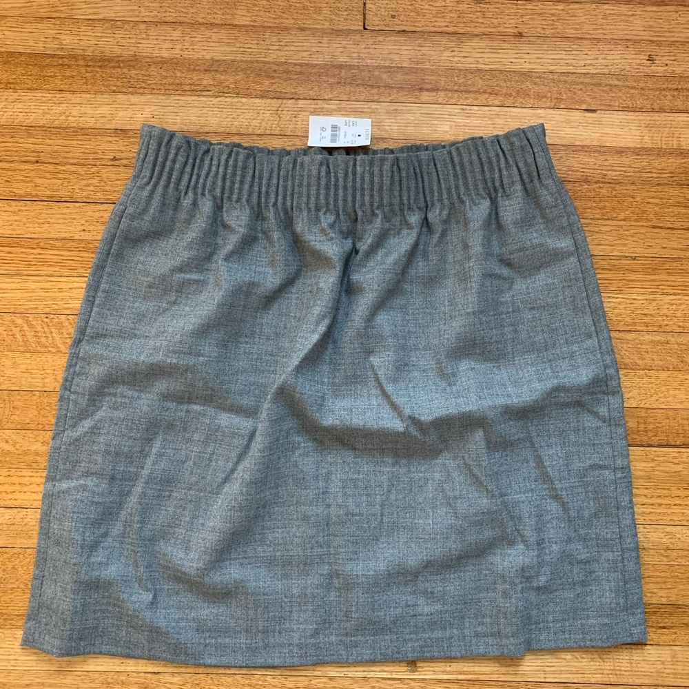 JCrew Factory Skirt
